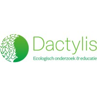 Dactylis