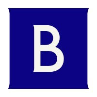 Brunswick Investor Brand
