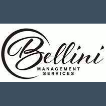 Bellini Trading (Pty) Ltd
