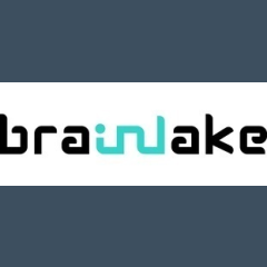 Brainlake Advertising LLC